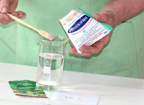 Обеззараживание семян в специальных препаратах