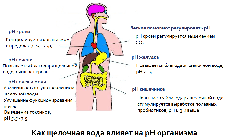 Ph капли для ощелачивания воды