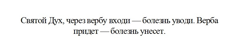 Заговор на вербу от болезней.