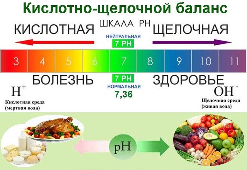 Предотвращает ли ощелачивание организма рак?