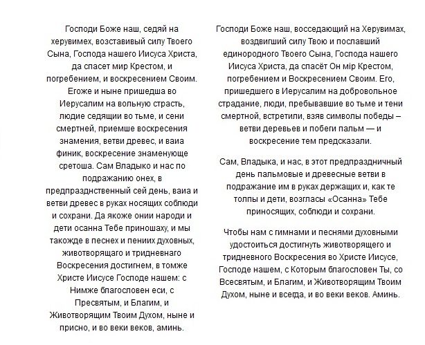Молитва, предшествующая освящению вербы.