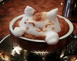 Как сварить вкусный кофе с естественной пенкой в турке в домашних условиях? Как и чем рисовать узоры на пенке кофе: инструкция, идеи, фото