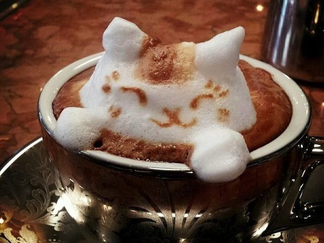 Как сварить вкусный кофе с естественной пенкой в турке в домашних условиях? Как и чем рисовать узоры на пенке кофе: инструкция, идеи, фото