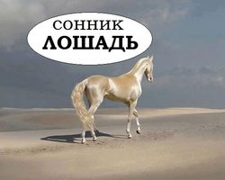 Сонник — лошади: к чему снится во сне рыжая, черная, белая, коричневая, серая, пятнистая лошадь? К чему снится образ, силуэт, тень лошади с гривой, рогами, крыльями: толкование сна для мужчин и женщин