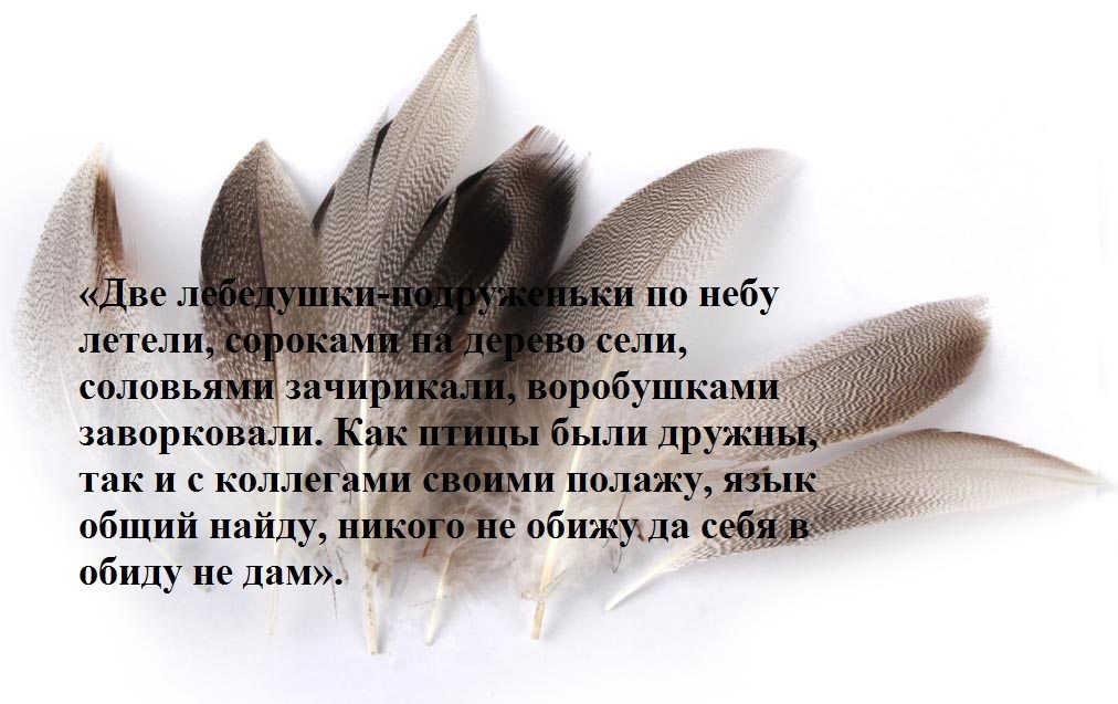Для коллег