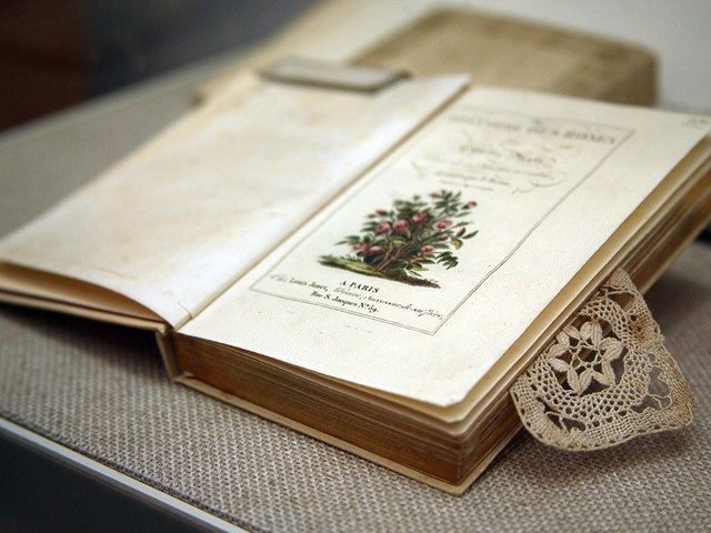 Поделка своими руками — закладка для книг из бумаги, картона, фетра, связанная крючком, в виде животных, с вышивкой крестиком, из лент и ленточек, ниток, бисера, черно-белые, для девочек и мальчиков: идеи для школы и детского сада, шаблоны, мастер-класс, фото