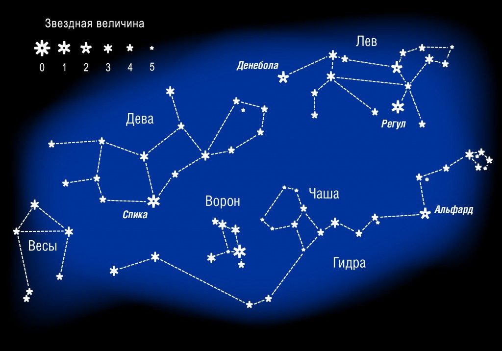 Как выглядит знак зодиака и созвездия на небе льва?