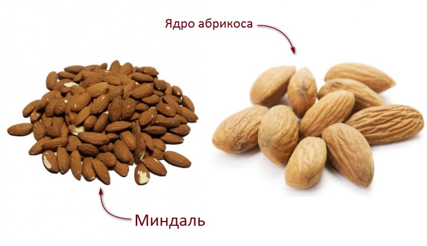 Разница