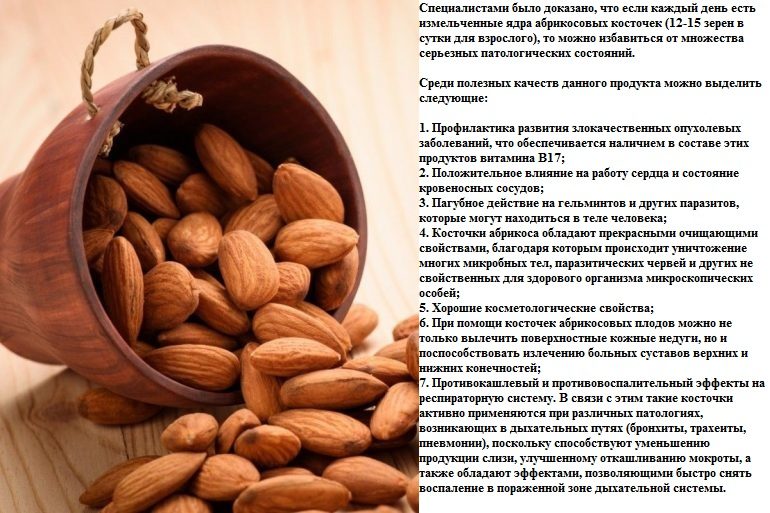 Ядра абрикосовых косточек очень полезны