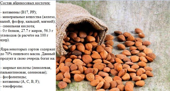 Состав ядер абрикоса