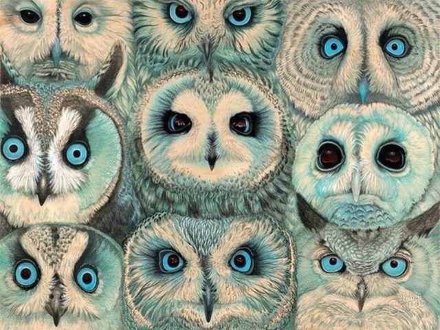 Как нарисовать сову карандашом поэтапно для начинающих и детей? Как нарисовать красивую, мультяшную, умную сову в очках, голову совы?