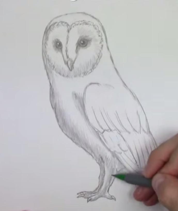 Рисуем перья на грудке