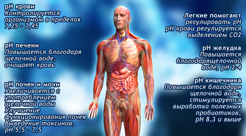 От чего зависит ph?