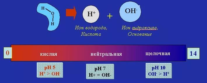 Как повысить кислотность и снизить ph крови?