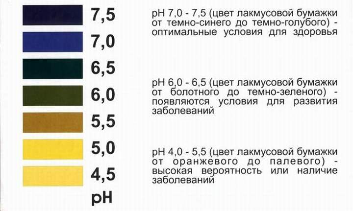 Уровень ph крови при раке: сравнение