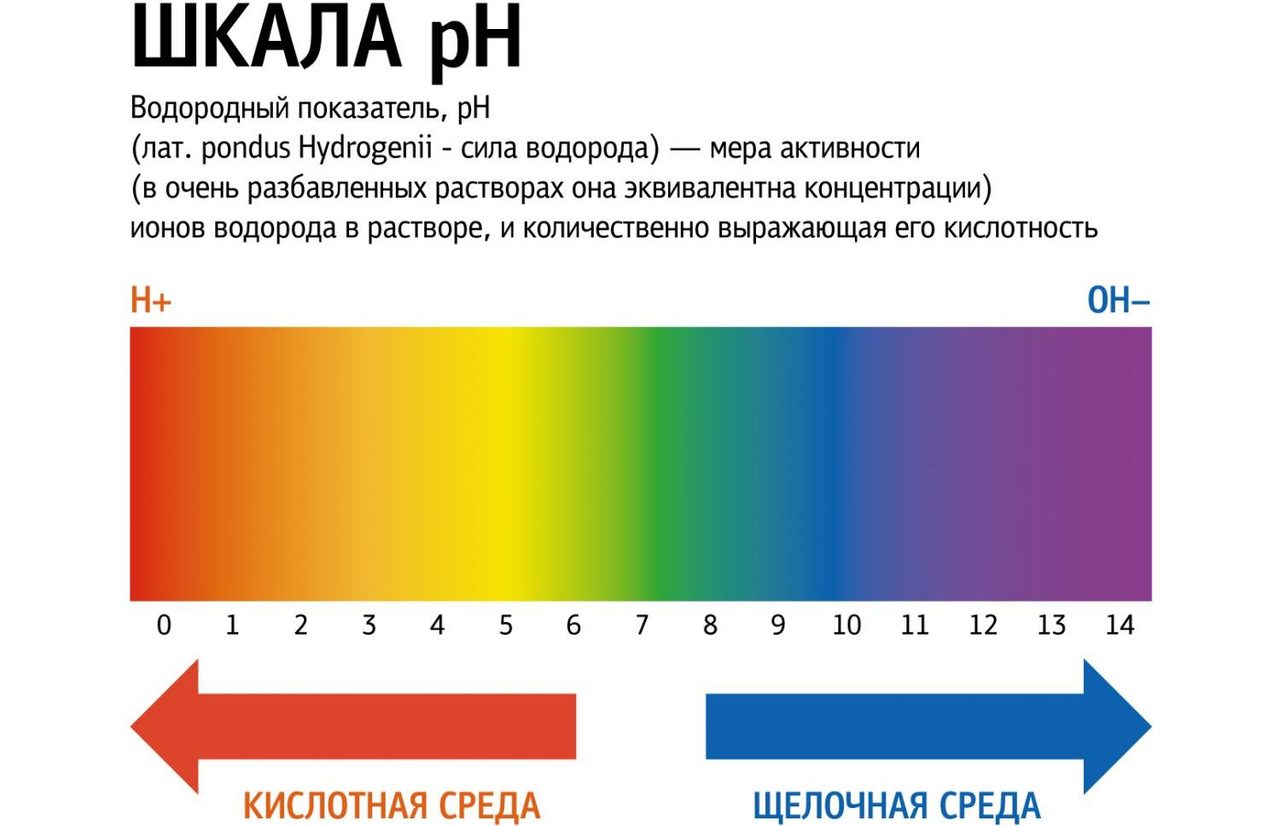Уровень ph крови здорового человека: норма