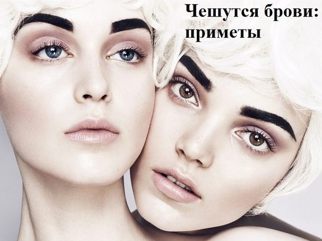 К чему чешется левая и правая бровь у девушки, женщины: народные приметы. К чему чешутся обе брови и переносица между бровями?