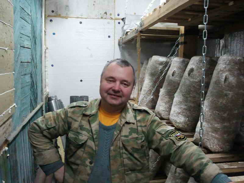 Болезни, проблемы и ошибки при выращивании вешенки в домашних условиях