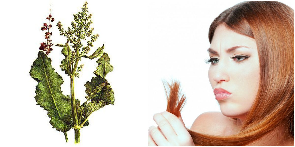 Collageроздд