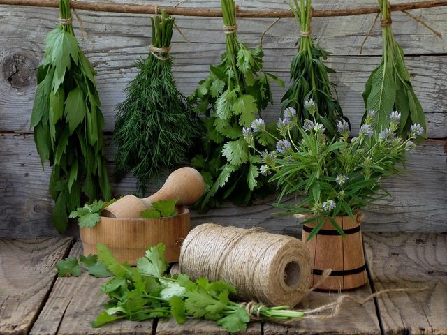 Приправы для первых и вторых блюд из зелени на зиму: лучшие рецепты и секреты приготовления