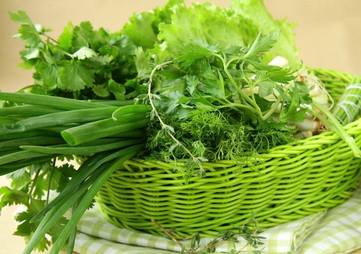 Зелень для куриного супа