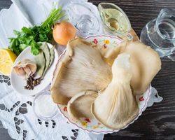 Как солить, мариновать грибы вешенки на зиму в банках: очень вкусные рецепты. Как сушить и заморозить грибы вешенки на зиму в домашних условиях?