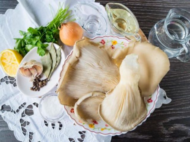 Как солить, мариновать грибы вешенки на зиму в банках: очень вкусные рецепты. Как сушить и заморозить грибы вешенки на зиму в домашних условиях?