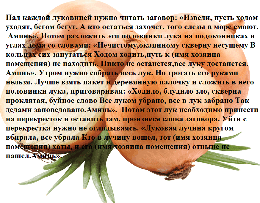 Заговор с луком