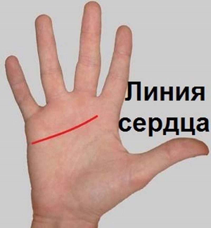 Расположение линии сердца