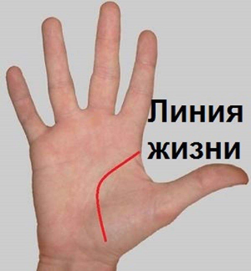 Вот где располагается линия жизни