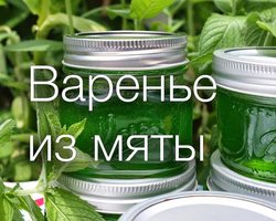 Варенье из мяты: лучшие рецепты. Варенье из мяты: польза и вред, отзывы