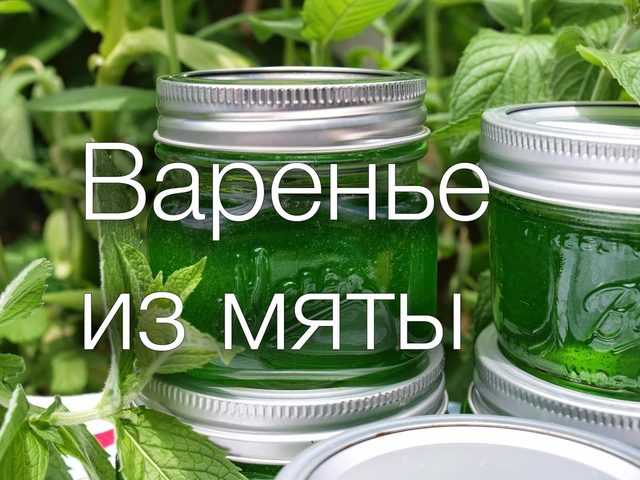 Варенье из мяты: лучшие рецепты. Варенье из мяты: польза и вред, отзывы