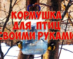 Кормушки для птиц из пластиковых бутылок своими руками: идеи, описание, инструкция, фото. Как сделать кормушку для птиц из 1,5 литровой, большой 5 литровой пластиковой бутылки, из 2 бутылок?