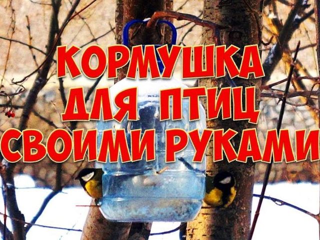 Кормушки для птиц из пластиковых бутылок своими руками: идеи, описание, инструкция, фото. Как сделать кормушку для птиц из 1,5 литровой, большой 5 литровой пластиковой бутылки, из 2 бутылок?