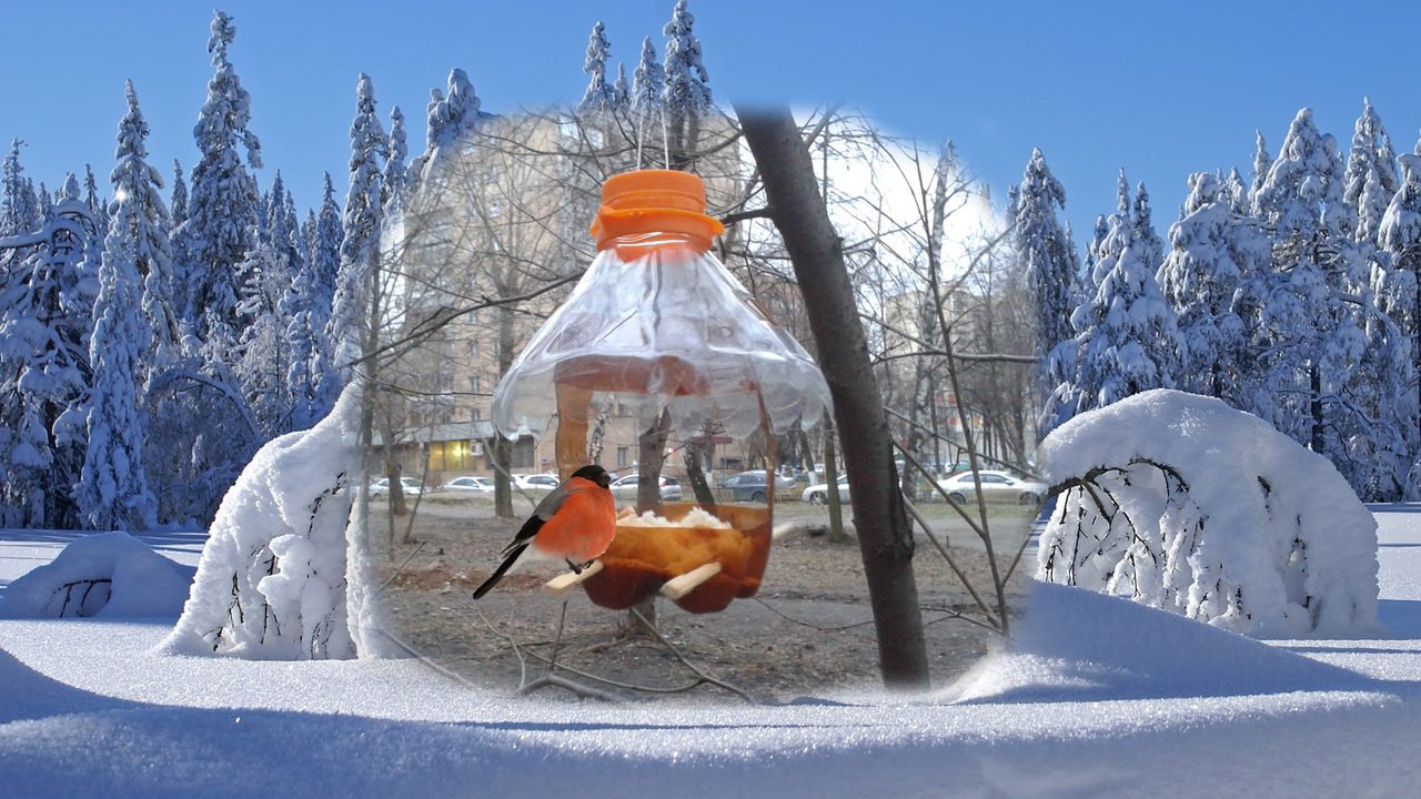 Большая кормушка для птиц