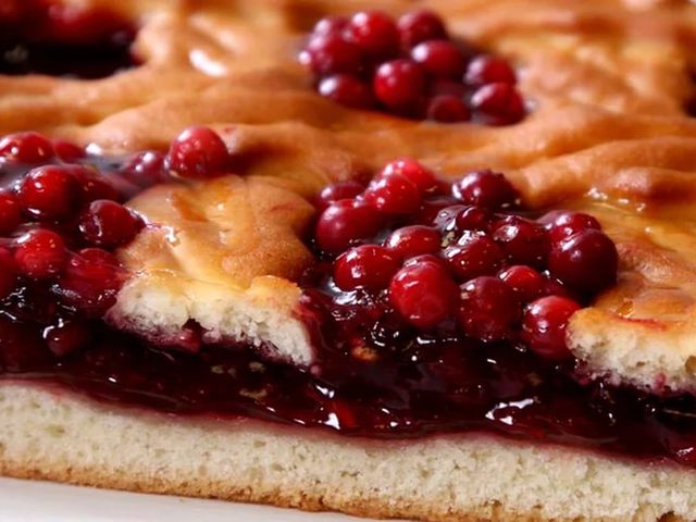Пирог с брусникой: лучшие рецепты из песочного, дрожжевого, слоеного теста, со сметаной, открытого, заливного, бисквитного, шарлотки с фото. Лучшие рецепты начинок для пирога из брусники и яблок, крахмала, сметаны, творога, замороженной брусники