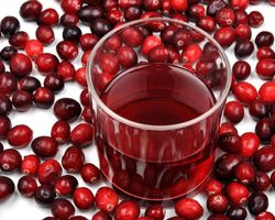 Компот из брусники для взрослых, детей, на зиму: лучшие рецепты. Как сварить компот из брусники и клюквы, яблок, груш, малины, черники, без сахара?