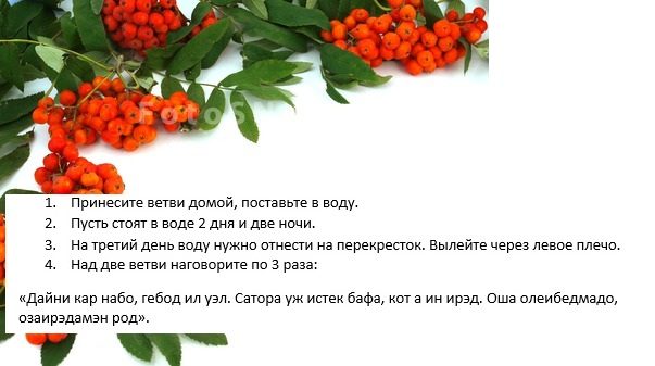 Ритуал с ветками рябины