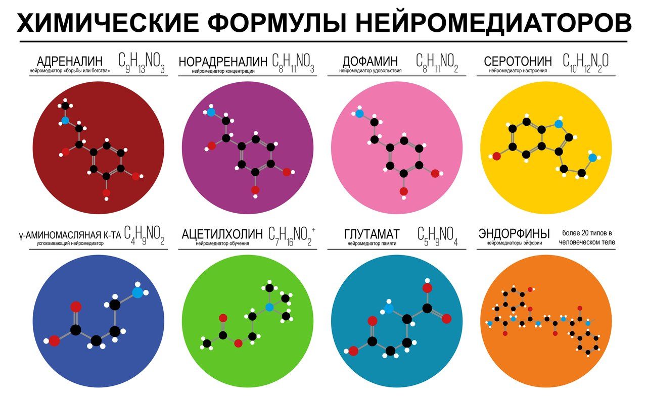 Гормоны - это химические вещества