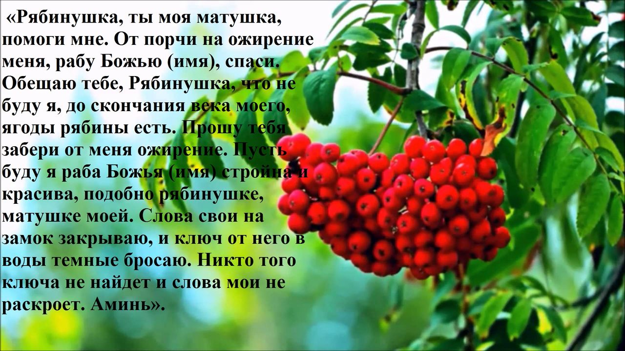 Ритуал с рябиной