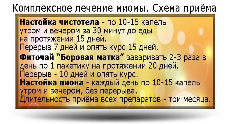 Лечение миомы чистотелом, боровой маткой и настоем пиона