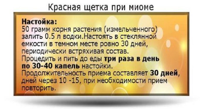 Красная щетка при миоме матки