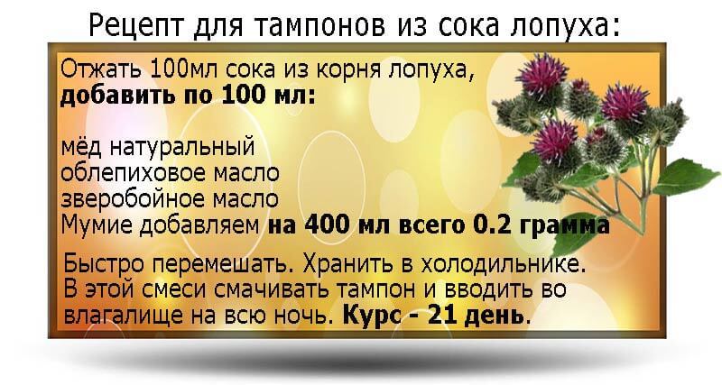 Лопух для тампонов при миоме матки