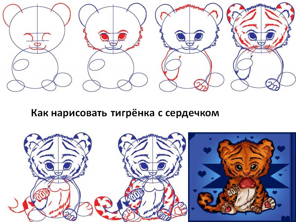 Как нарисовать тигренка с сердечком