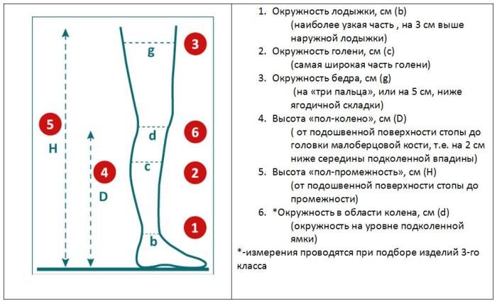 Какие нужно провести замеры для покупки компрессионного белья