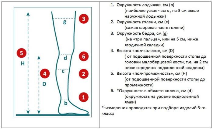 Какие нужно провести замеры для покупки компрессионного белья