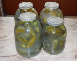 Почему мутнеют маринованные и консервированные огурцы в банках и взрываются: что делать, как исправить? Можно ли есть маринованные огурцы в помутневшем рассоле?