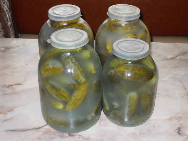 Почему мутнеют маринованные и консервированные огурцы в банках и взрываются: что делать, как исправить? Можно ли есть маринованные огурцы в помутневшем рассоле?