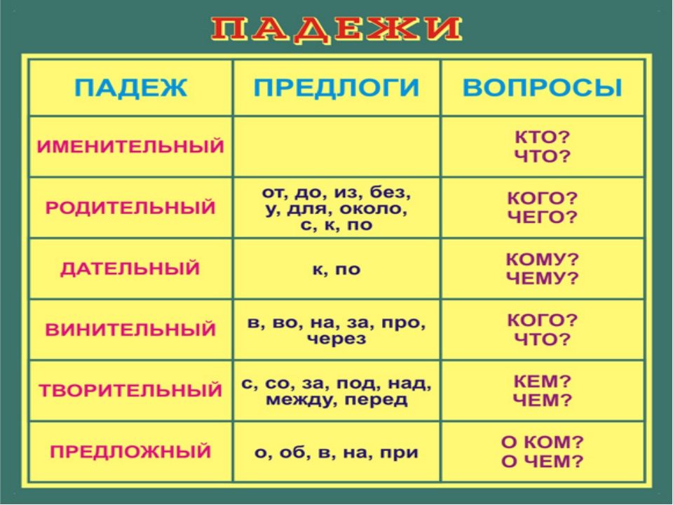 Склонение слова "торты" по падежам