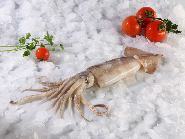 Как легко и быстро очистить замороженные и вареные кальмары от пленки и сколько варить их воде после закипания для салата? Как разморозить и правильно и быстро почистить тушку и щупальцы кальмара и отварить?